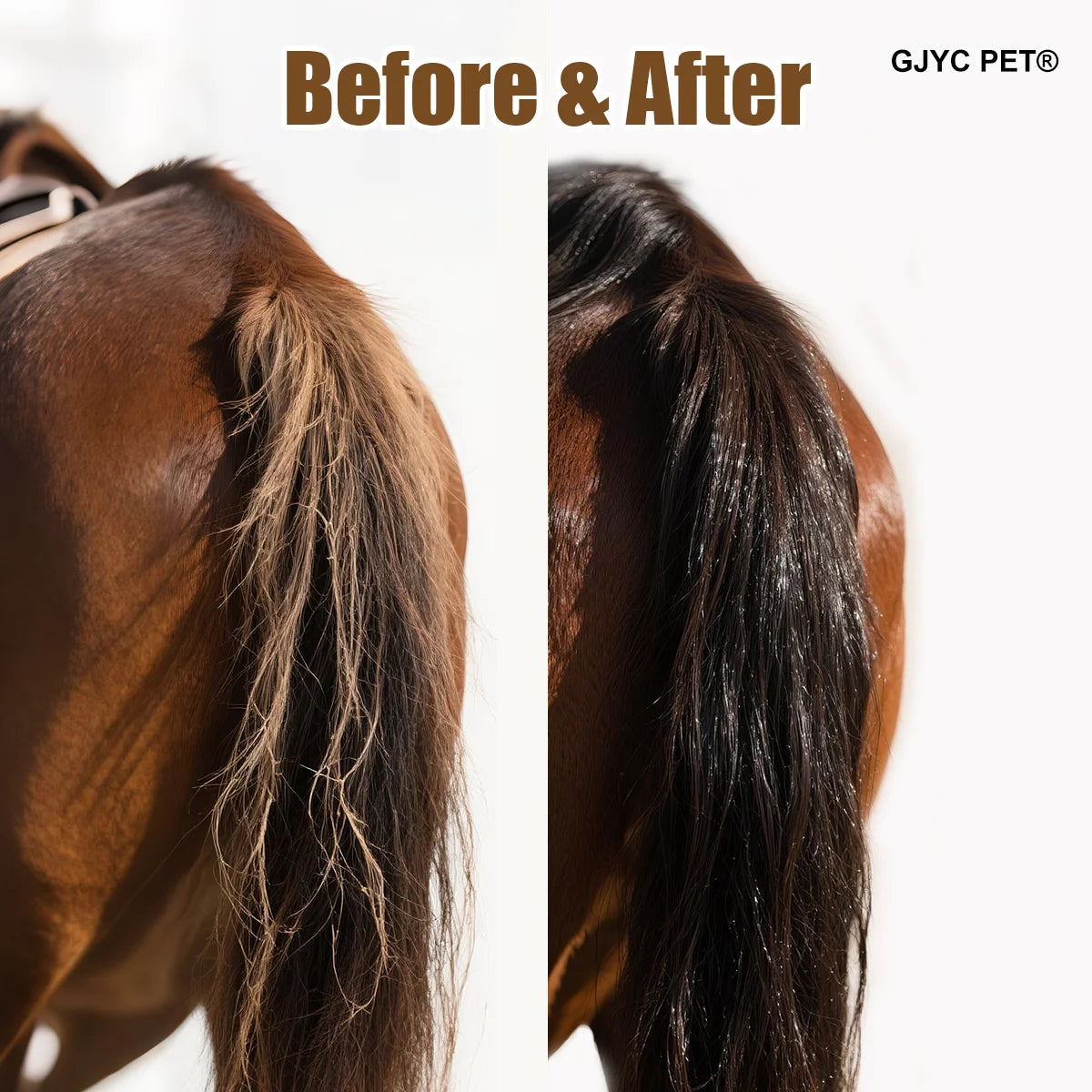 Aceite para Crin y Cola de Caballo 100ml | Brillo y Nutrición | Ingredientes Naturales 🐎