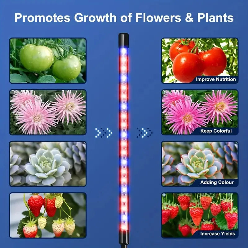 Lámpara LED de Crecimiento para Plantas con Clip | 3 Colores | 2/4 Cabezas | Interior - Firu Total Sales