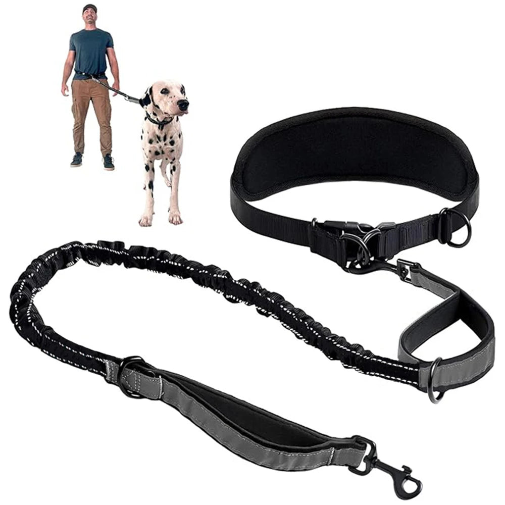 Correa para Perro Manos Libres con Cinturón Lumbar | Extensible | Reflectante 🐕