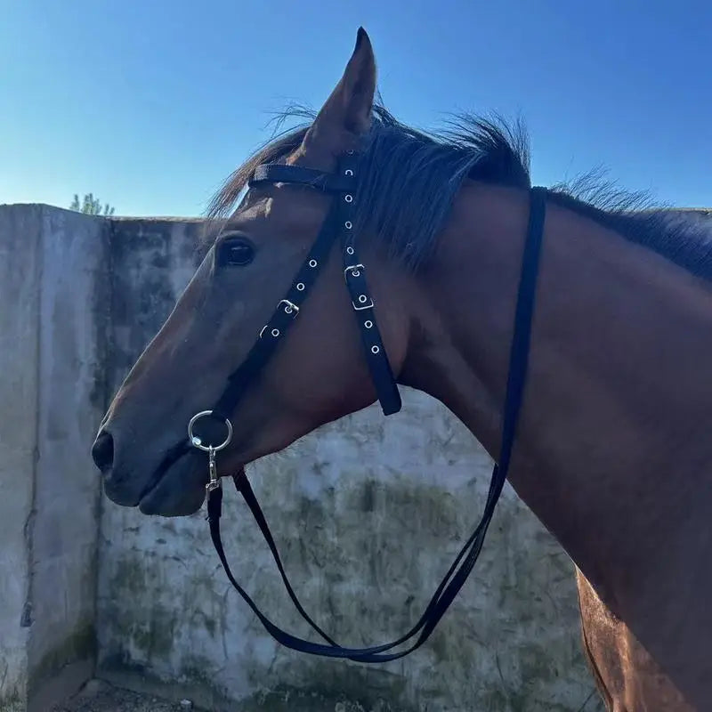 Halter Ajustable para Caballo con 3 Hebillas | Cabezada y Cuerda de Guía 🐎