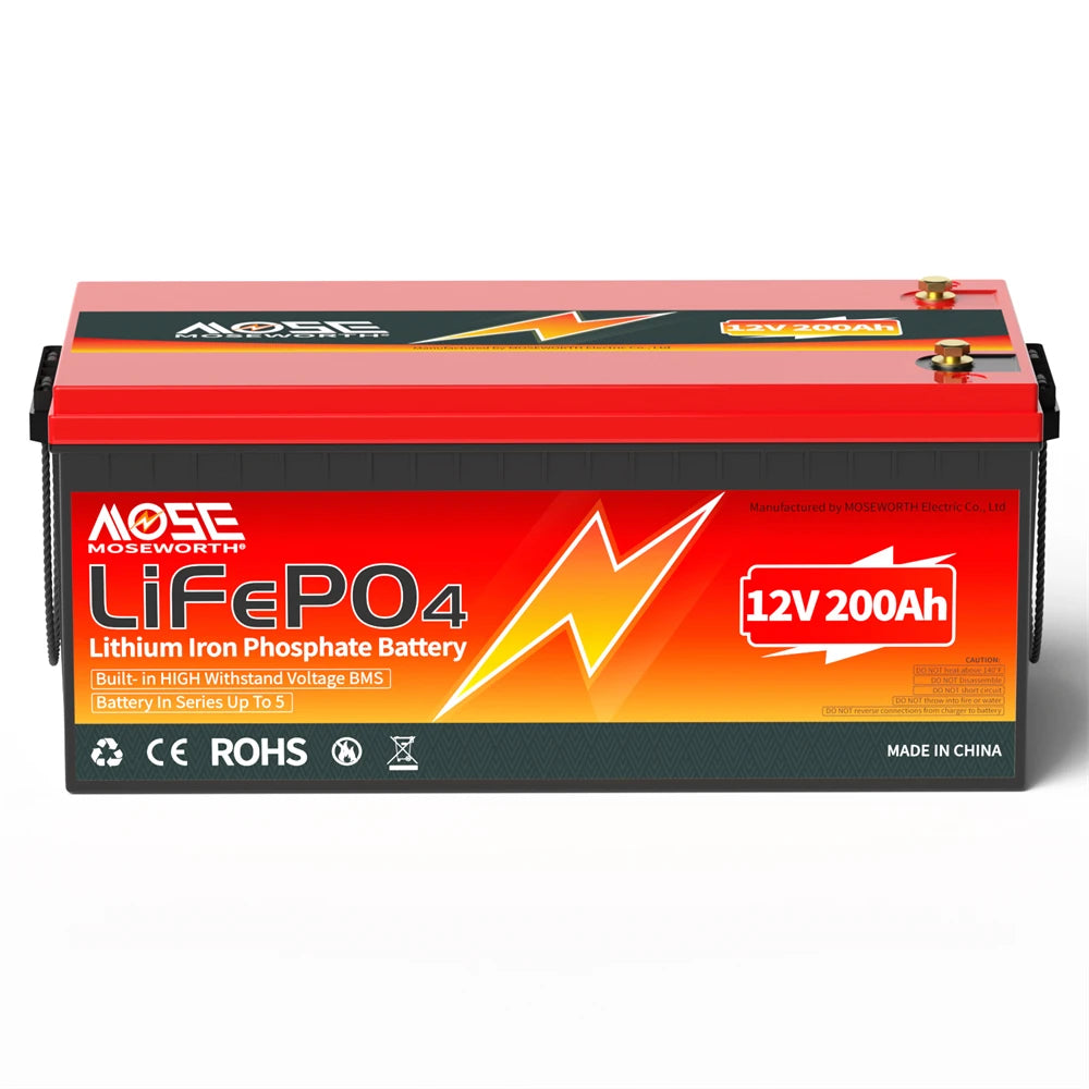 Batería LiFePO4 12V 6Ah-300Ah con BMS | Recargable | Solar y Ciclo Profundo 🔋