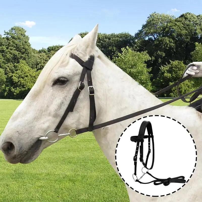 Cabezada para Caballo con 3 Hebillas Ajustables | Entrenamiento Ecuestre 🐎