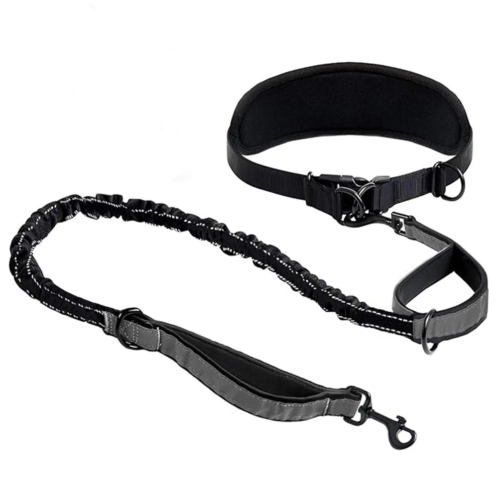 Correa para Perro Manos Libres con Cinturón Lumbar | Extensible | Reflectante 🐕