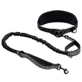Correa para Perro Manos Libres con Cinturón Lumbar | Extensible | Reflectante 🐕