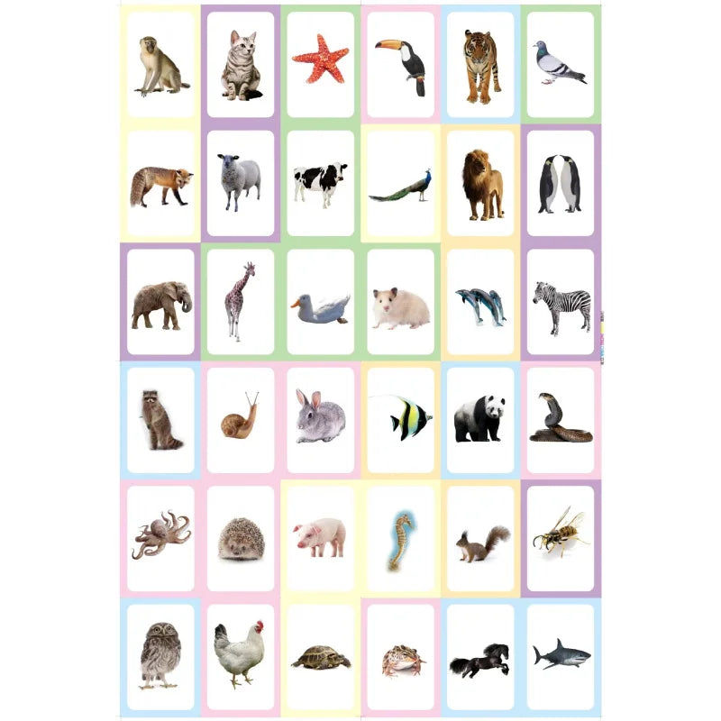 36pcs/box Early Childhood Education card animal fruit food color shape English character Montessori Toy Memory Training card