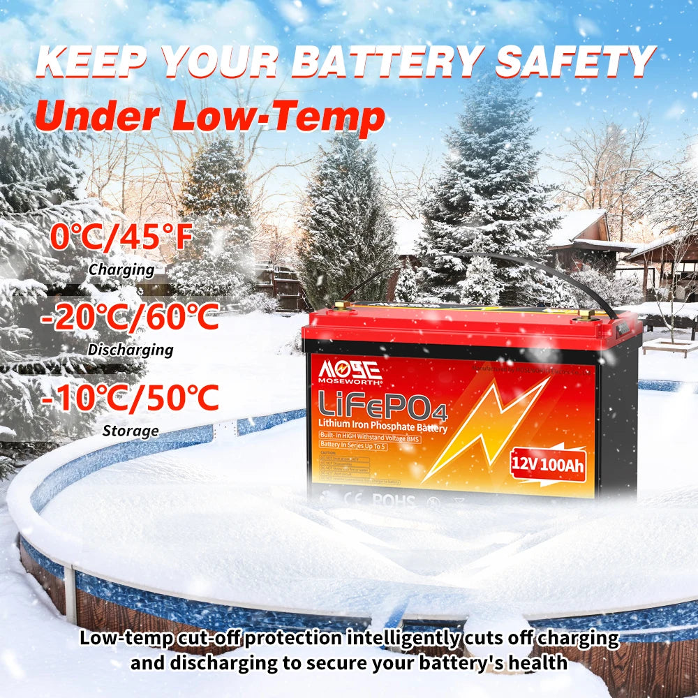 Batería LiFePO4 12V 6Ah-300Ah con BMS | Recargable | Solar y Ciclo Profundo 🔋