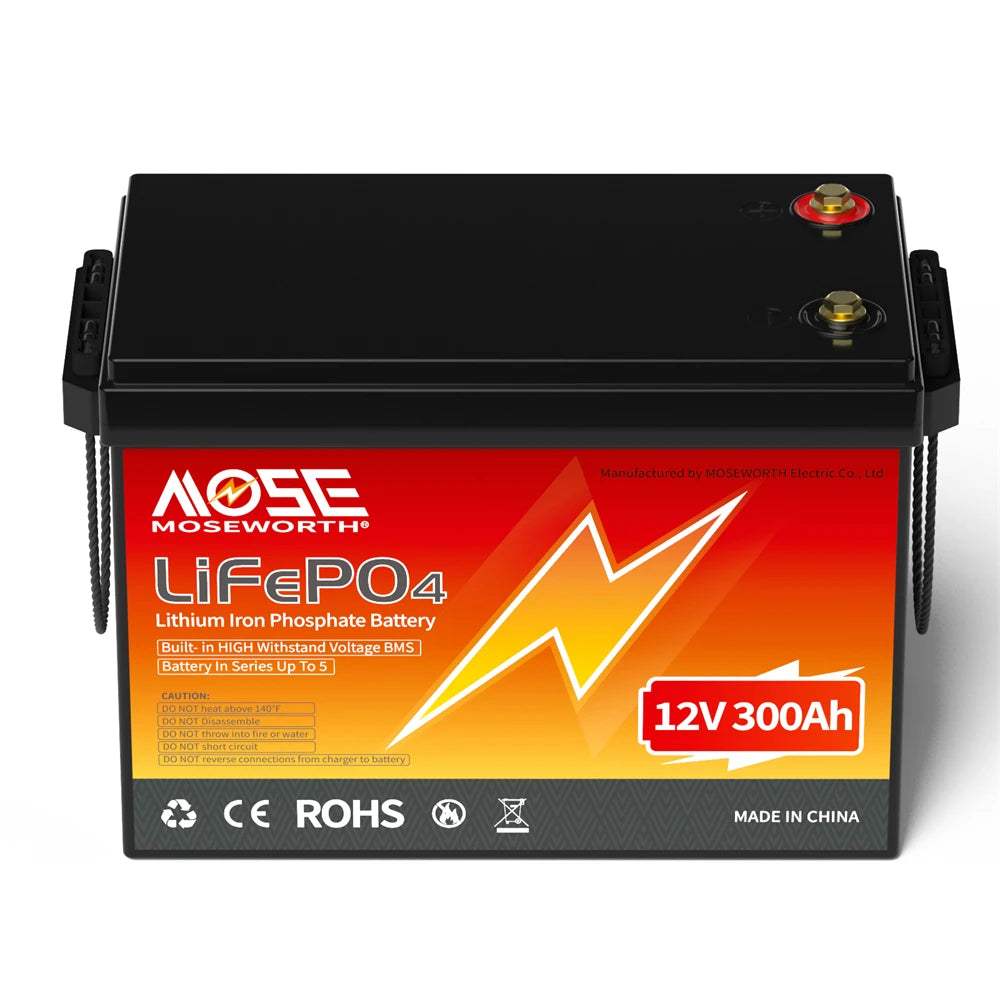 Batería LiFePO4 12V 6Ah-300Ah con BMS | Recargable | Solar y Ciclo Profundo 🔋