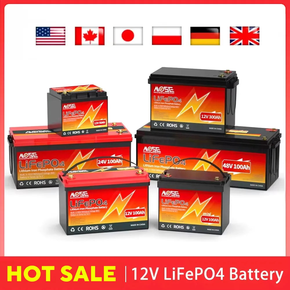 Batería LiFePO4 12V 6Ah-300Ah con BMS | Recargable | Solar y Ciclo Profundo 🔋