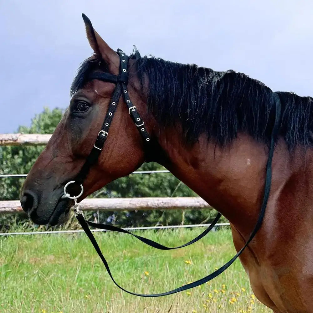 Halter Ajustable para Caballo con 3 Hebillas | Cabezada y Cuerda de Guía 🐎