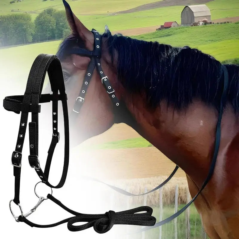 Halter Ajustable para Caballo con 3 Hebillas | Cabezada y Cuerda de Guía 🐎