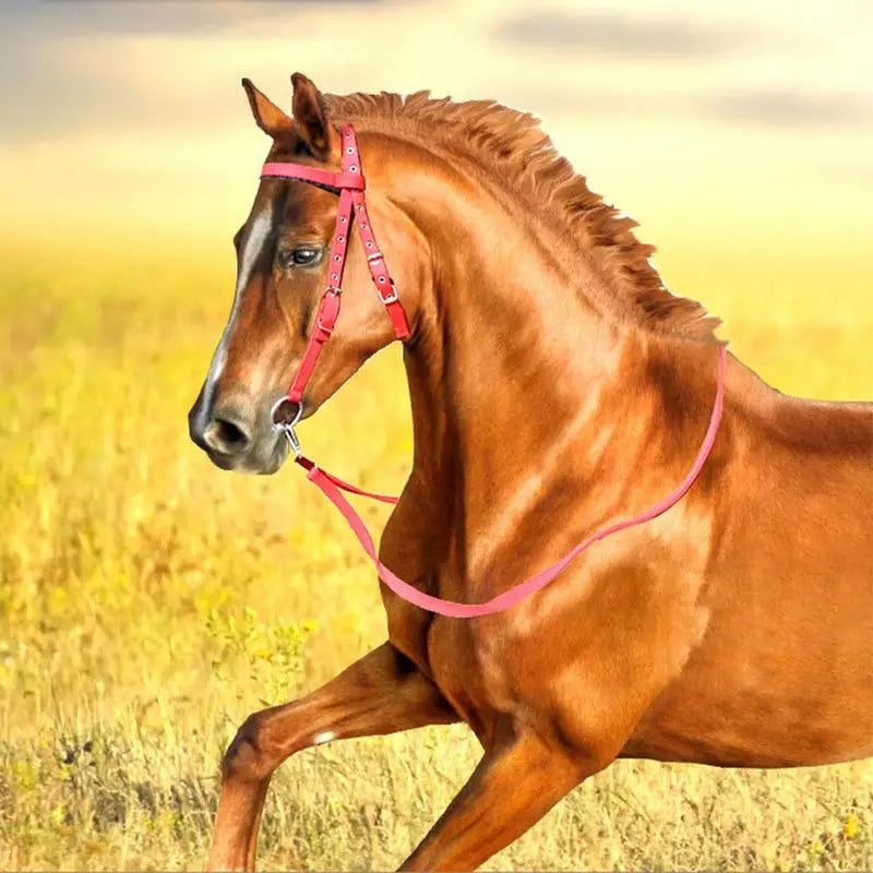 Brida para Caballo Ajustable con Filete y Muserola | Nylon Suave | Ecuestre 🐎