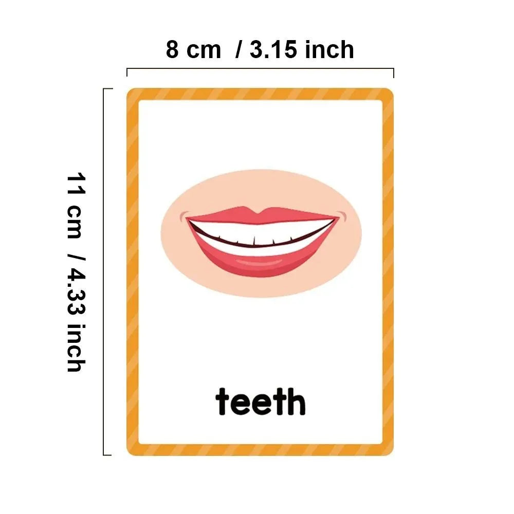 15 Cards Children Body Parts Cognitive Card Montessori toys Flash Cards for kid Education Enlightenment  English learning  Card