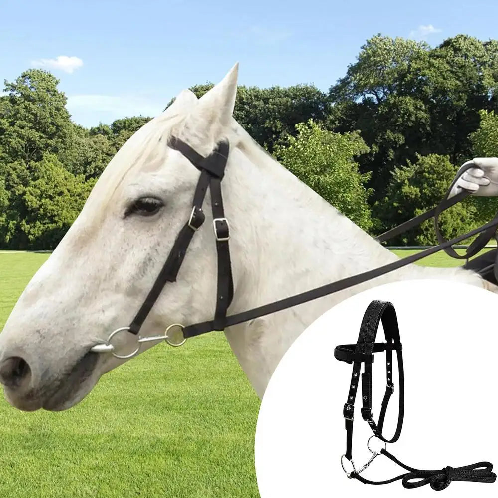 Halter Ajustable para Caballo con 3 Hebillas | Cabezada y Cuerda de Guía 🐎