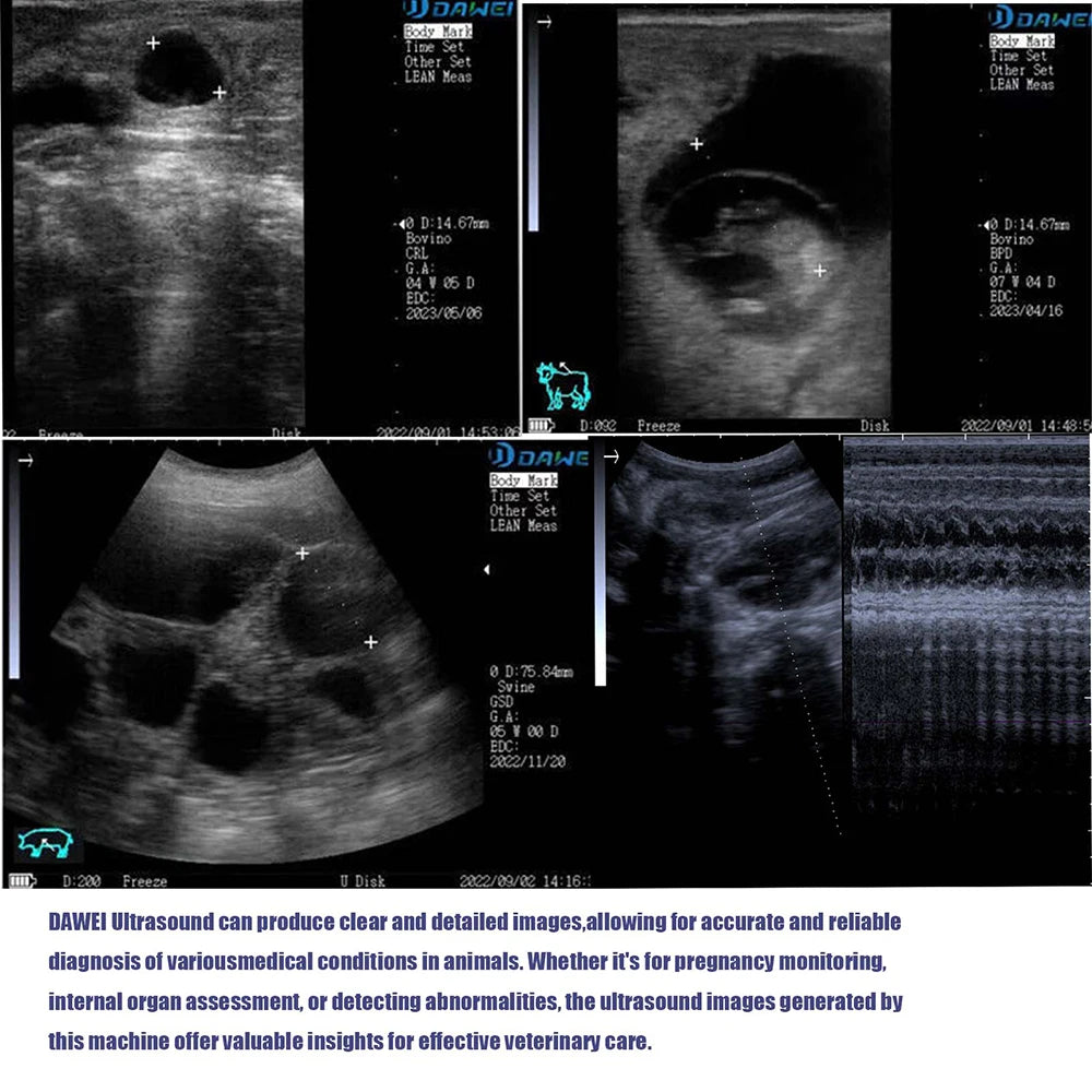 Escáner de Ultrasonido Veterinario Portátil | Embarazo | Cerdo, Oveja, Caballo 🐄