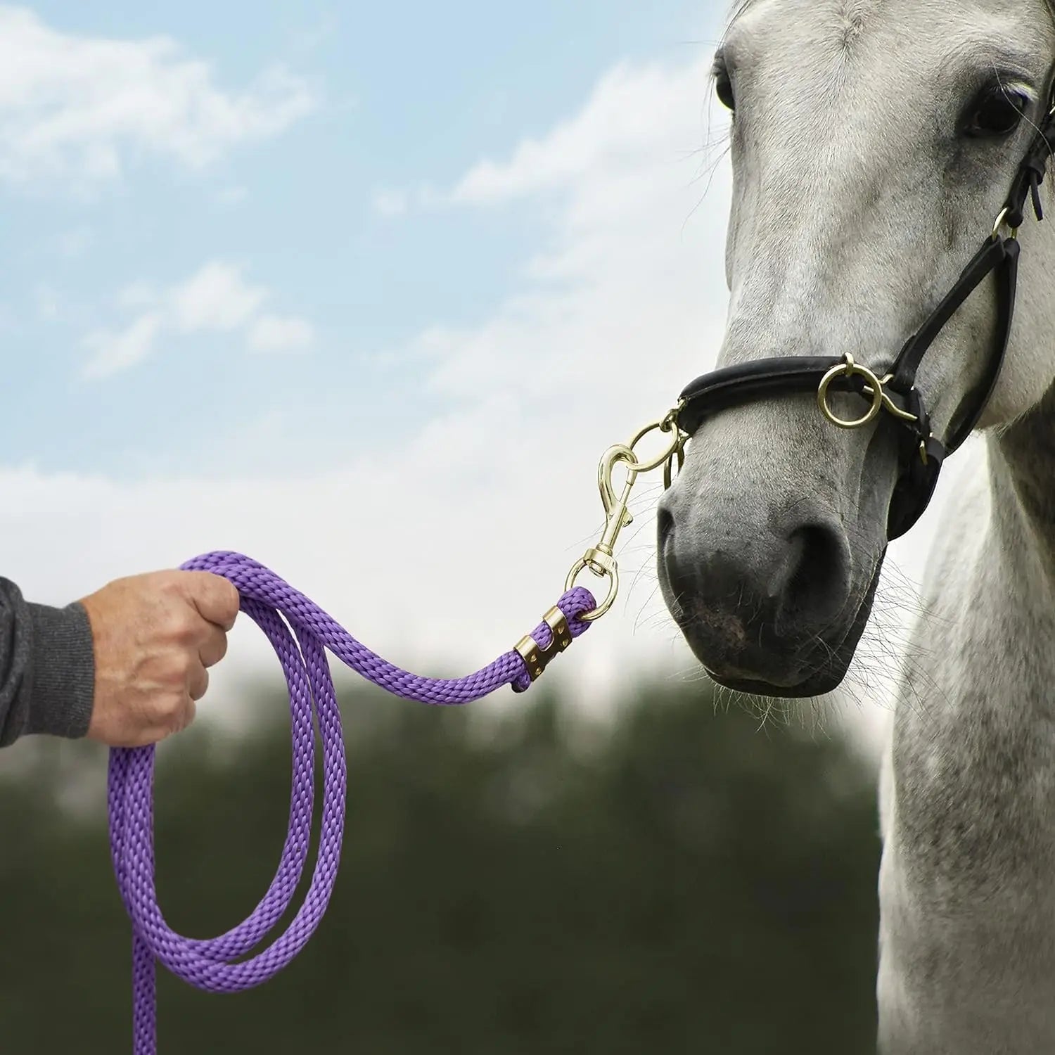 New 15MM Extra Thick Horse Lead Rope Cotton Weave Equestrian Rein Halters Braided Brass Plated Snap  Chain Bridle Leading Leash