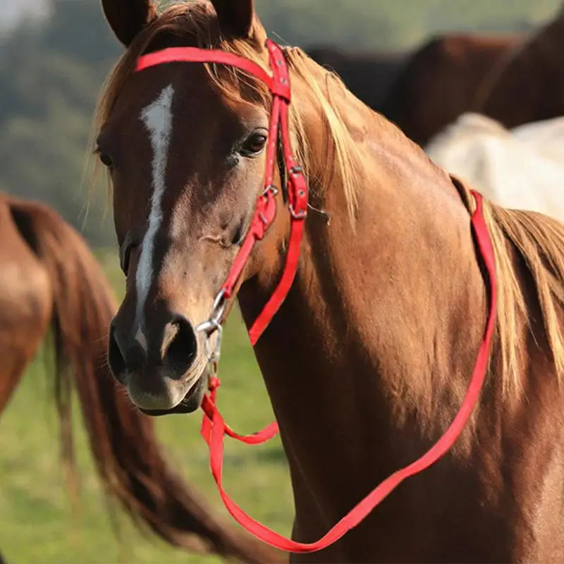Brida para Caballo Ajustable con Filete y Muserola | Nylon Suave | Ecuestre 🐎