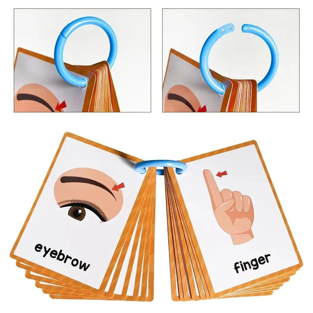 15 Cards Children Body Parts Cognitive Card Montessori toys Flash Cards for kid Education Enlightenment  English learning  Card