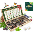 LushandDew Year-Round Seed Bank 2 Varieties Non-GMO Heirloom Seeds of Vegetables Herbs Gardening Gifts for Women Men Emergency