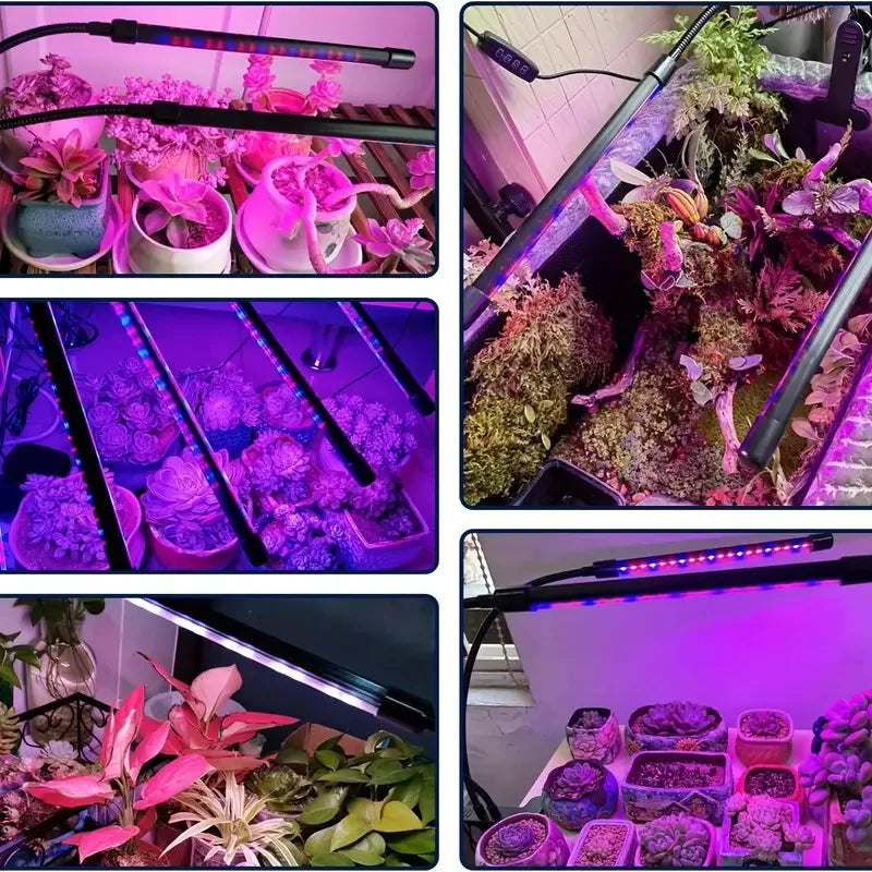 Lámpara LED de Crecimiento para Plantas con Clip | 3 Colores | 2/4 Cabezas | Interior - Firu Total Sales