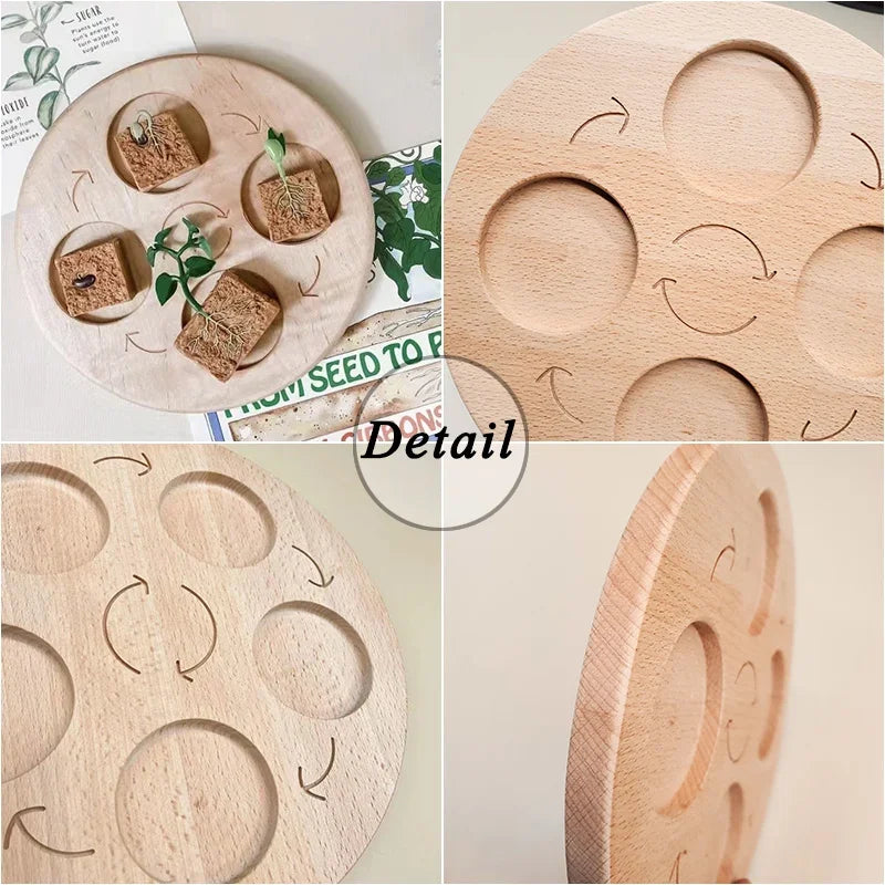 Animal Life Cycle Board Children Toys Montessori Teaching Aids Plant Animal Growth Cycle Model Set preschool cognitive Toys