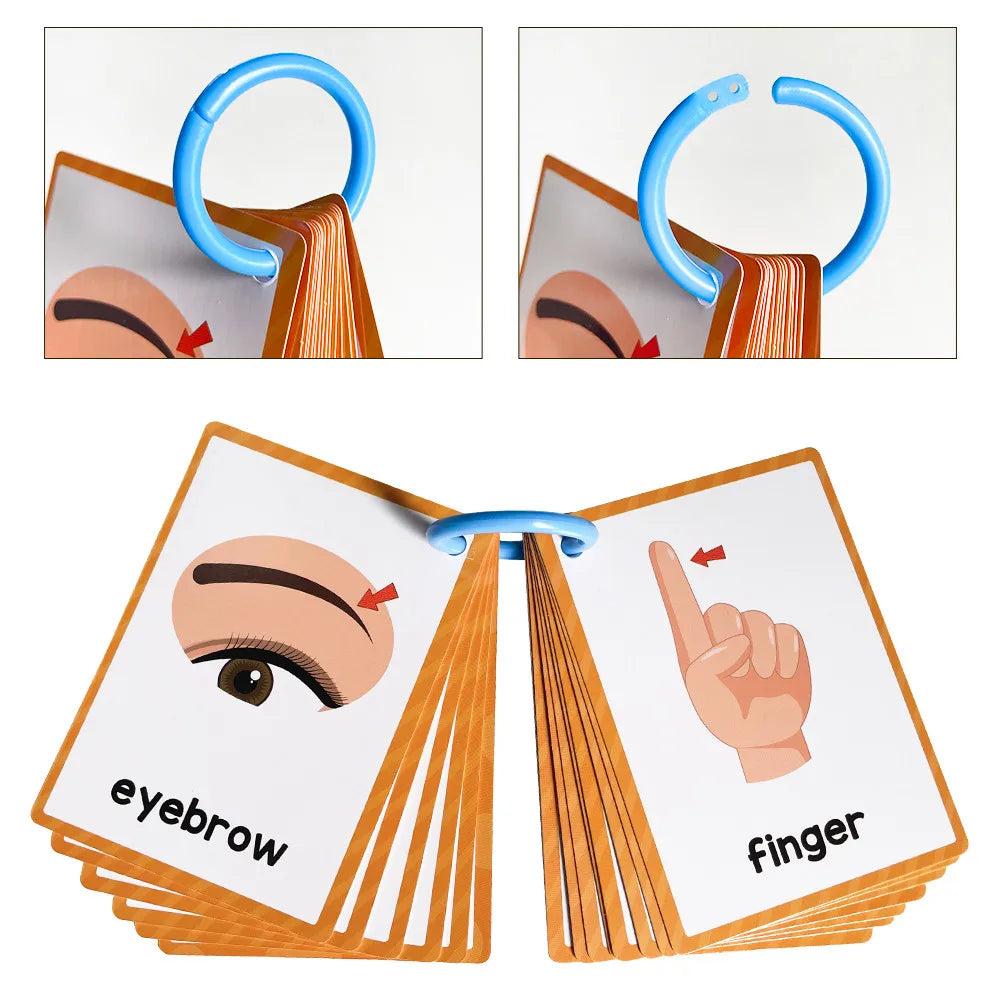 15 Cards Children Body Parts Cognitive Card Montessori toys Flash Cards for kid Education Enlightenment  English learning  Card