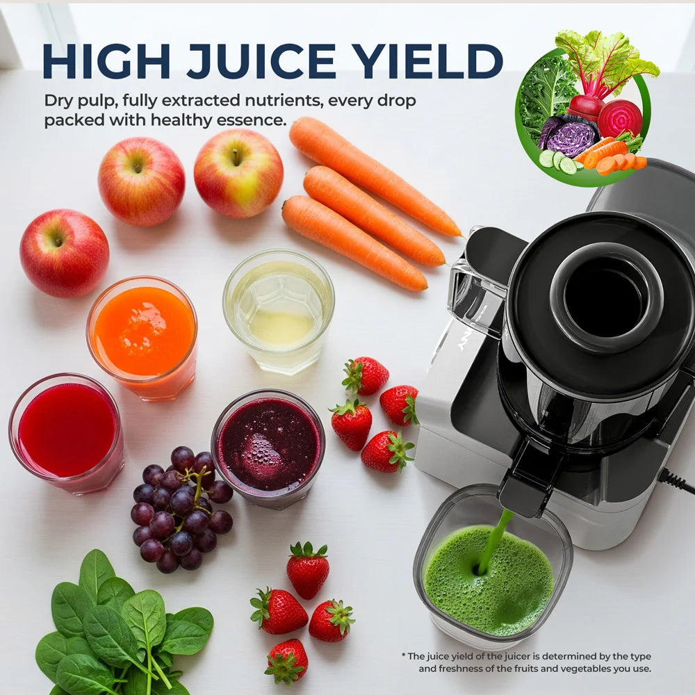 ROUNY Cold Press Extractor with Filter-Free, Easy Clean Electric Fruit Slow Juicer Machine with 130mm Large Feed Caliber,  Black