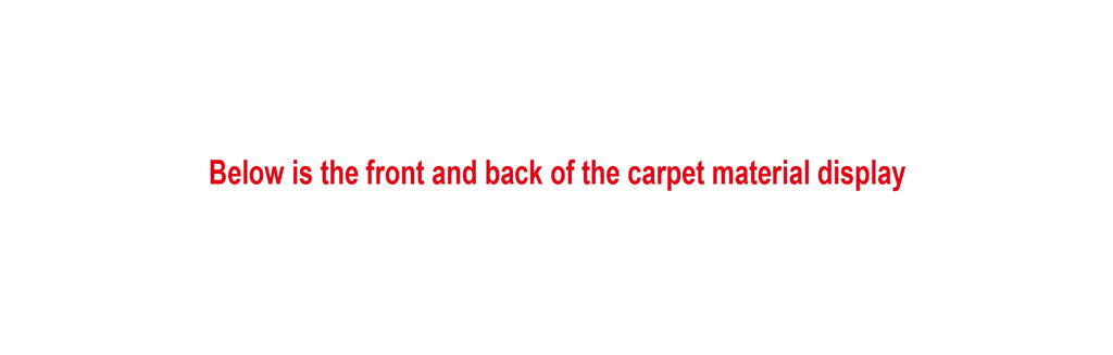 VIKAMA Dolphin Printed Carpet Waterproof and Anti Slip Machine Washable Living Room and Bathroom Quick Drying Floor Mat