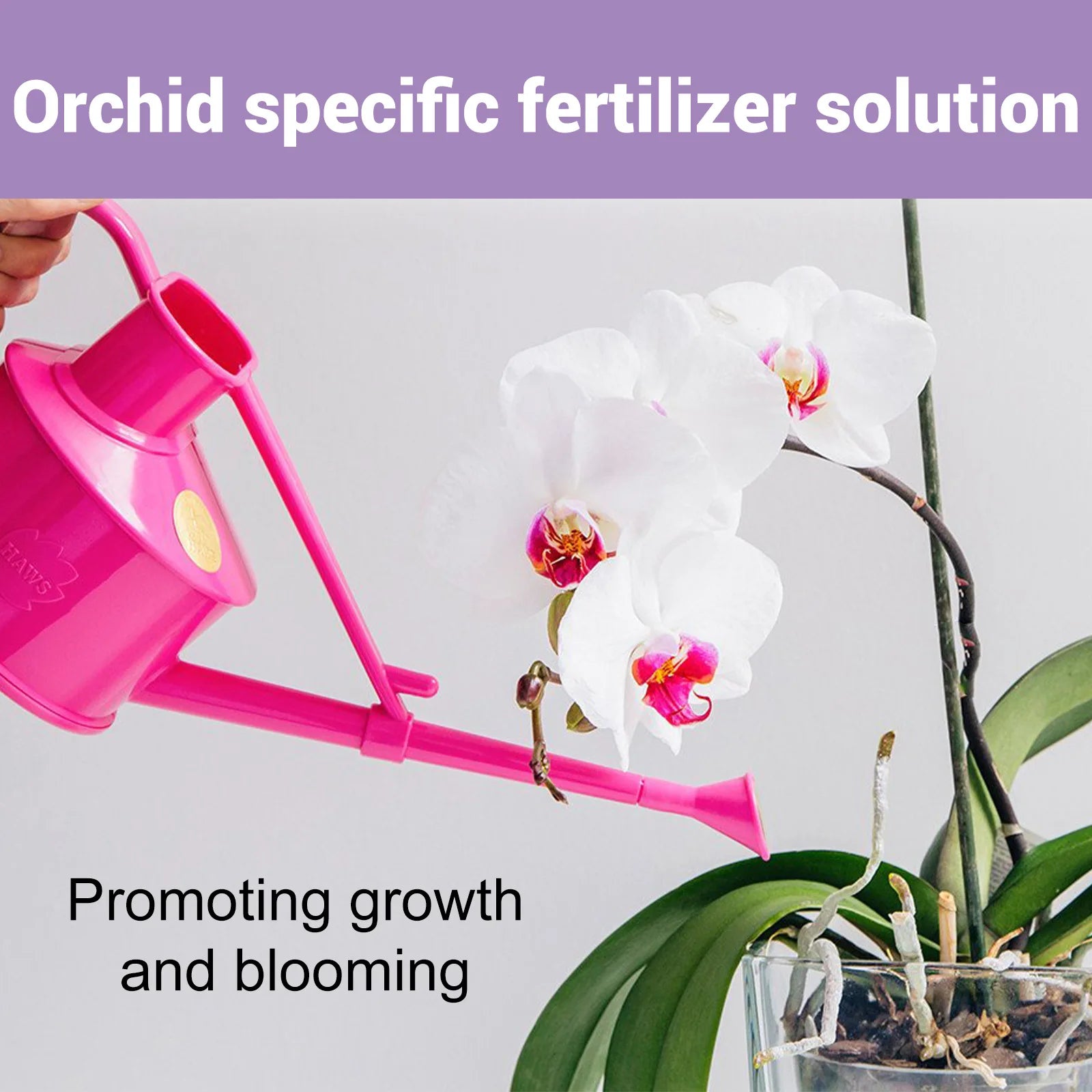 50ml Orchid Special Liquid Flower Fertilizer Hydroponic Garden Plant Nutrition Growth Supplement Compound Nutrients for Flowers