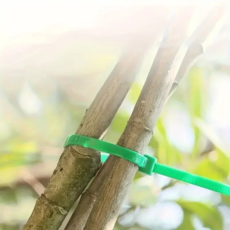 Bridas Reutilizables para Jardín | Soporte para Plantas y Enredaderas | Nylon Ajustable