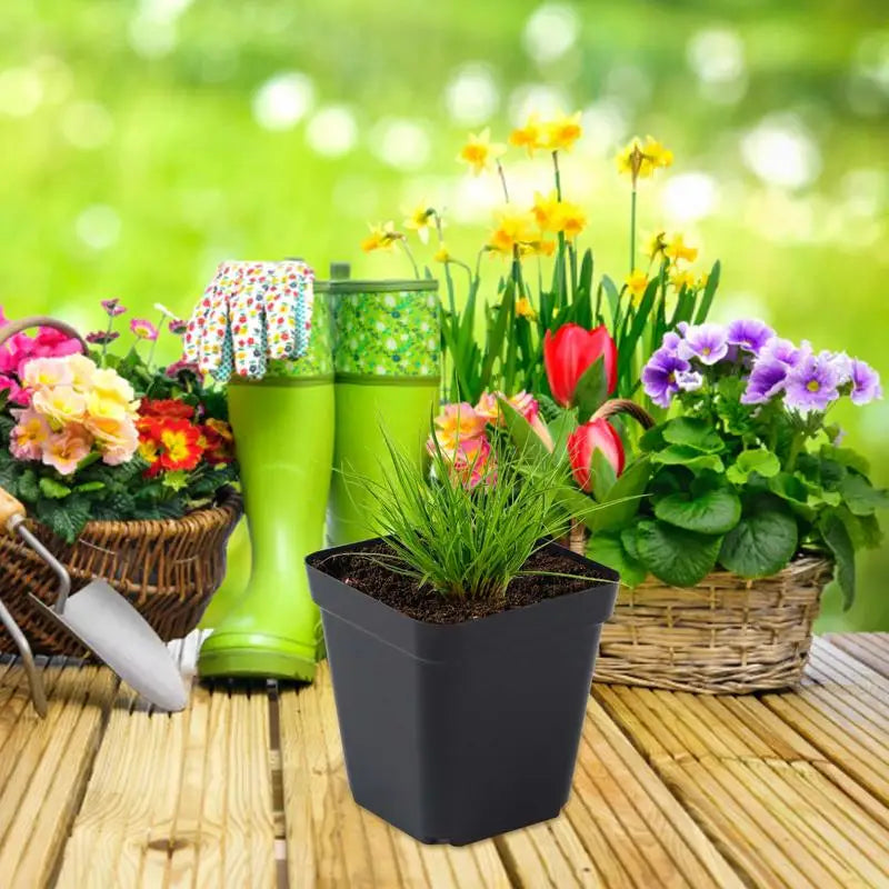 Seedling Pots 50Pcs Square Plant Seeding- Planting Cup Plastic Deep Nursery Tree Pot Flower Plant Container Pot Garden Grow