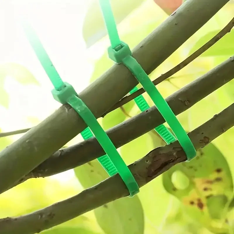 Bridas Reutilizables para Jardín | Soporte para Plantas y Enredaderas | Nylon Ajustable
