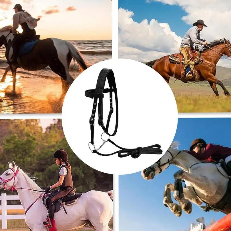 Cabezada para Caballo con 3 Hebillas Ajustables | Entrenamiento Ecuestre 🐎