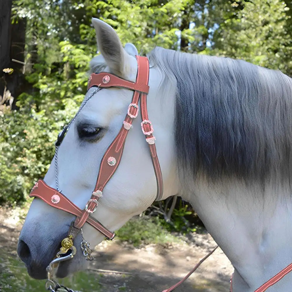 Cuerda de Guía para Caballo PU Ajustable | Hebilla Giratoria | Ecuestre 🐎