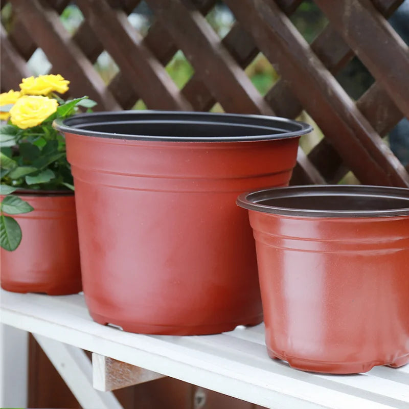 20/50pcs Macetas de Plástico para Vivero y Jardín | Herramientas de Cultivo 🌱