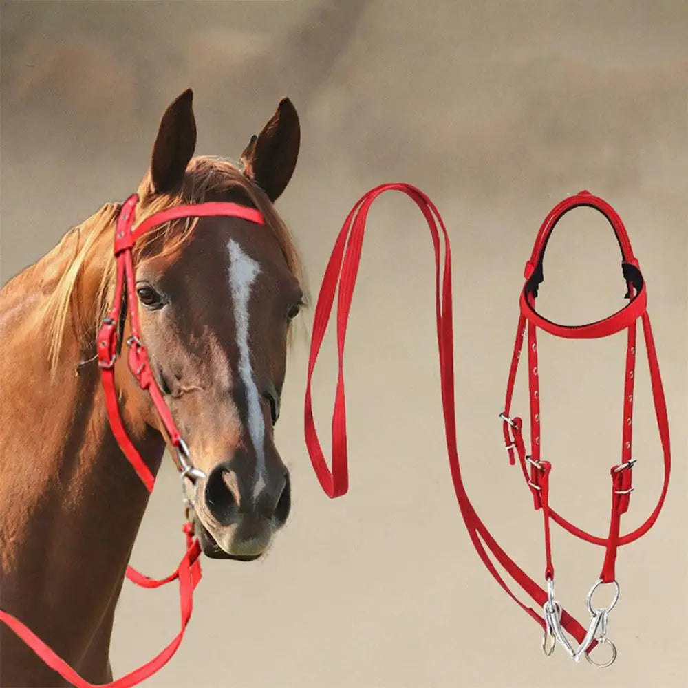 Brida para Caballo Ajustable con Filete y Muserola | Nylon Suave | Ecuestre 🐎