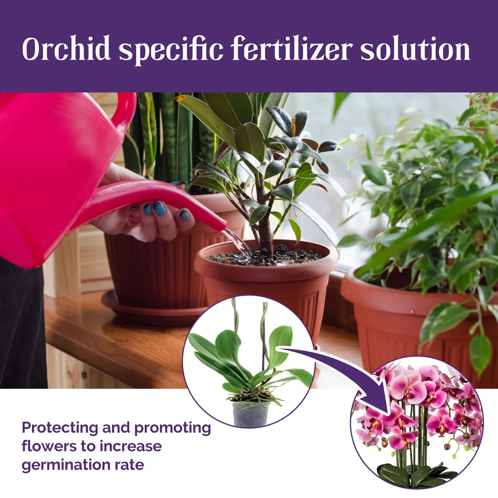 50ml Orchid Special Liquid Flower Fertilizer Hydroponic Garden Plant Nutrition Growth Supplement Compound Nutrients for Flowers