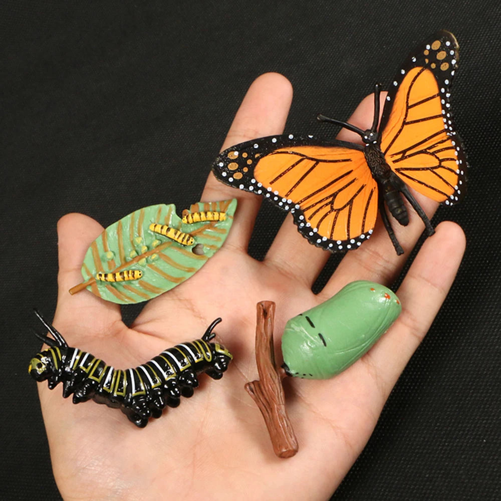 Animal Life Cycle Children Toys Simulation Plant Model Montessori Teaching Aids Animal Growth Cycle Model Set Cognitive Toy