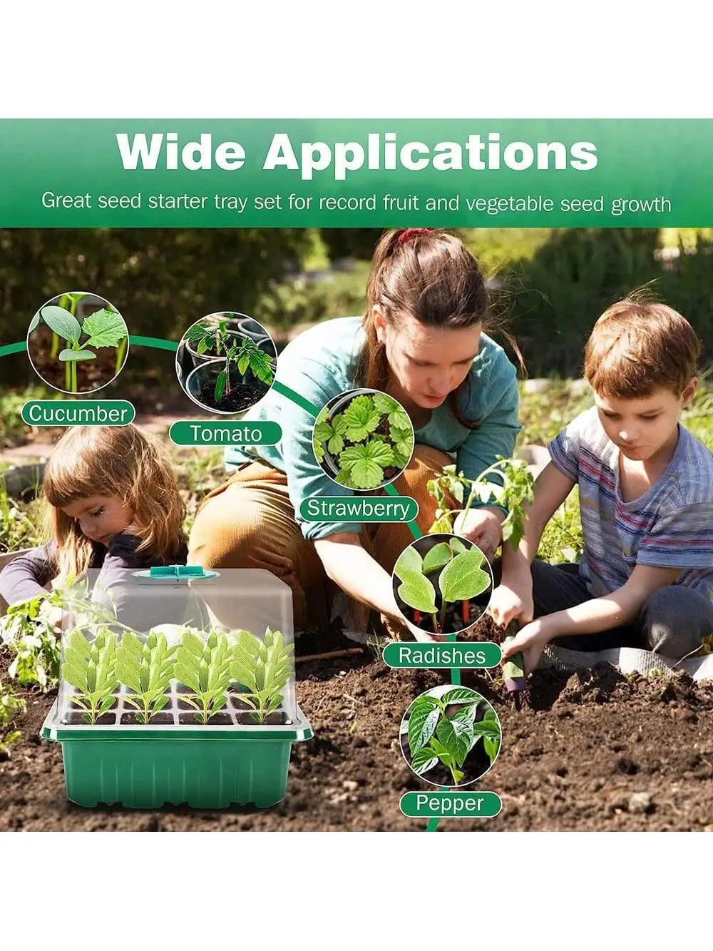 Seed Starter Kits Seedling Starter Trays (12 Cells per Tray) Humidity Adjustable Plant Germination Kits Garden Seed Starting Tra