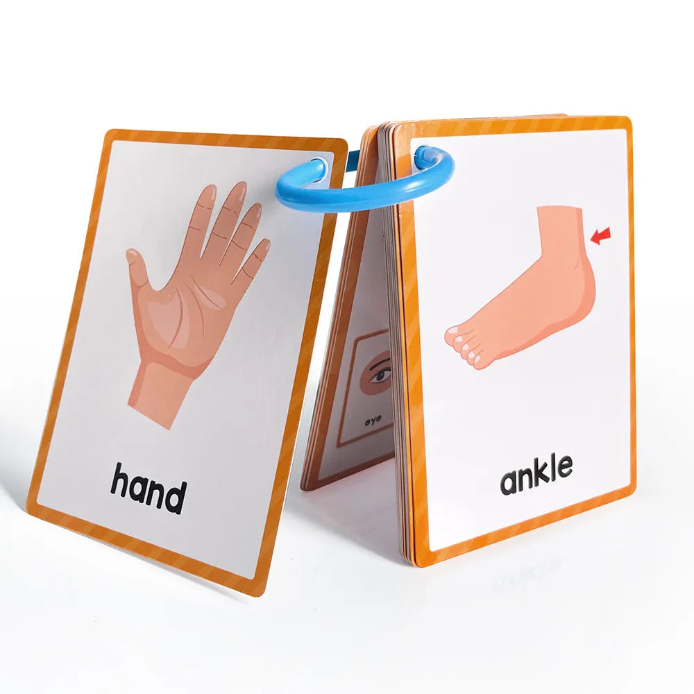 15 Cards Children Body Parts Cognitive Card Montessori toys Flash Cards for kid Education Enlightenment  English learning  Card