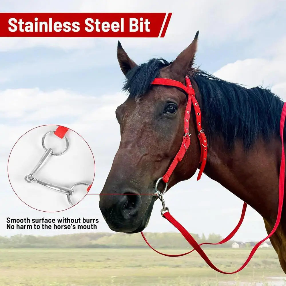 Brida para Caballo Ajustable con Filete y Muserola | Nylon Suave | Ecuestre 🐎