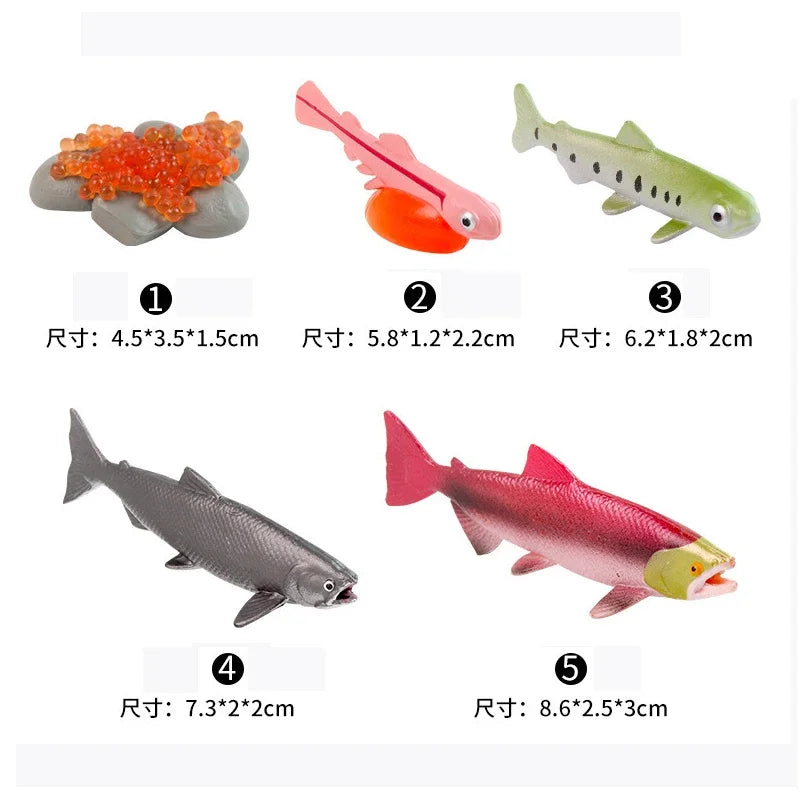 Animal Life Cycle Board Children Toys Montessori Teaching Aids Plant Animal Growth Cycle Model Set preschool cognitive Toys