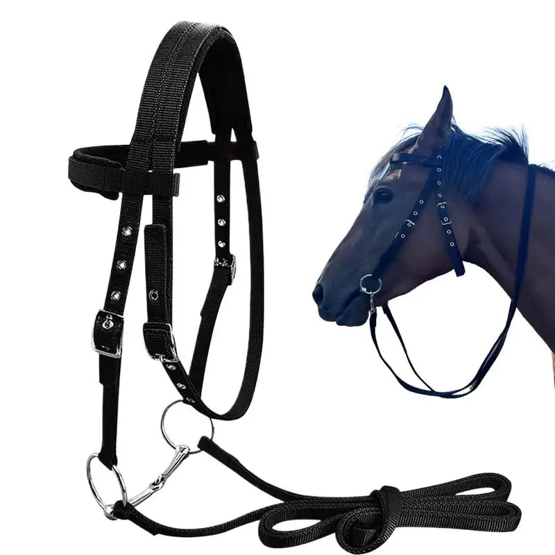 Cabezada para Caballo con 3 Hebillas Ajustables | Entrenamiento Ecuestre 🐎