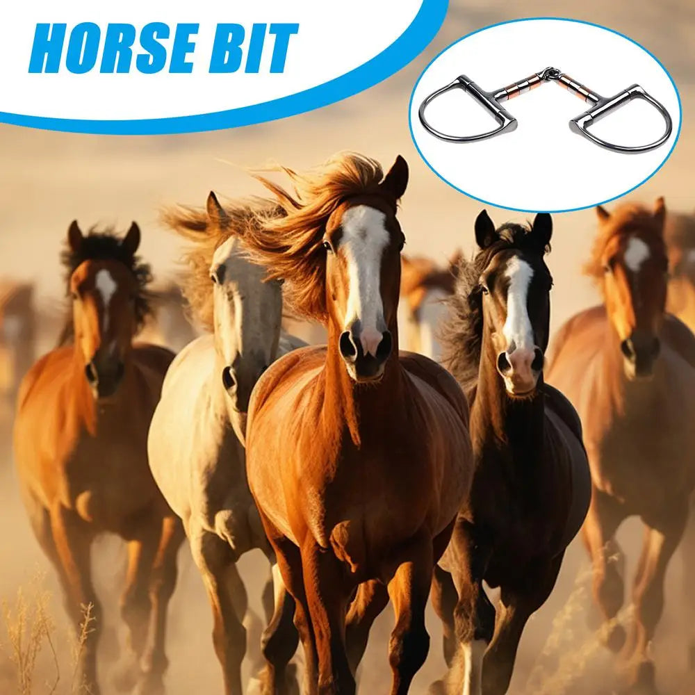 Filete Snaffle D-Ring con Cobre para Caballo | Articulación Simple | Ecuestre 🐎