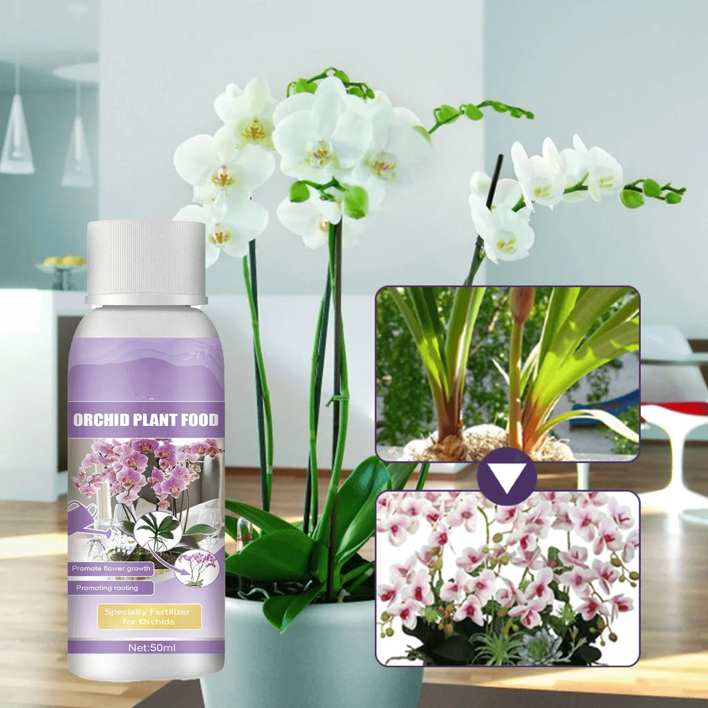 50ml Orchid Special Liquid Flower Fertilizer Hydroponic Garden Plant Nutrition Growth Supplement Compound Nutrients for Flowers