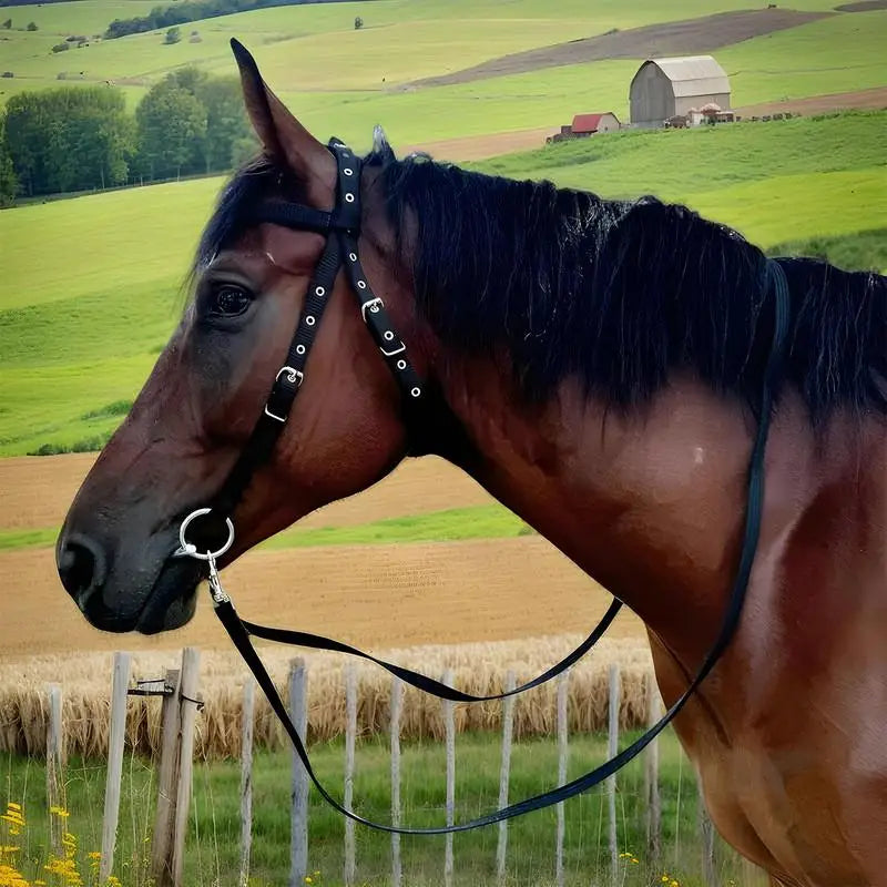 Cabezada para Caballo con 3 Hebillas Ajustables | Entrenamiento Ecuestre 🐎