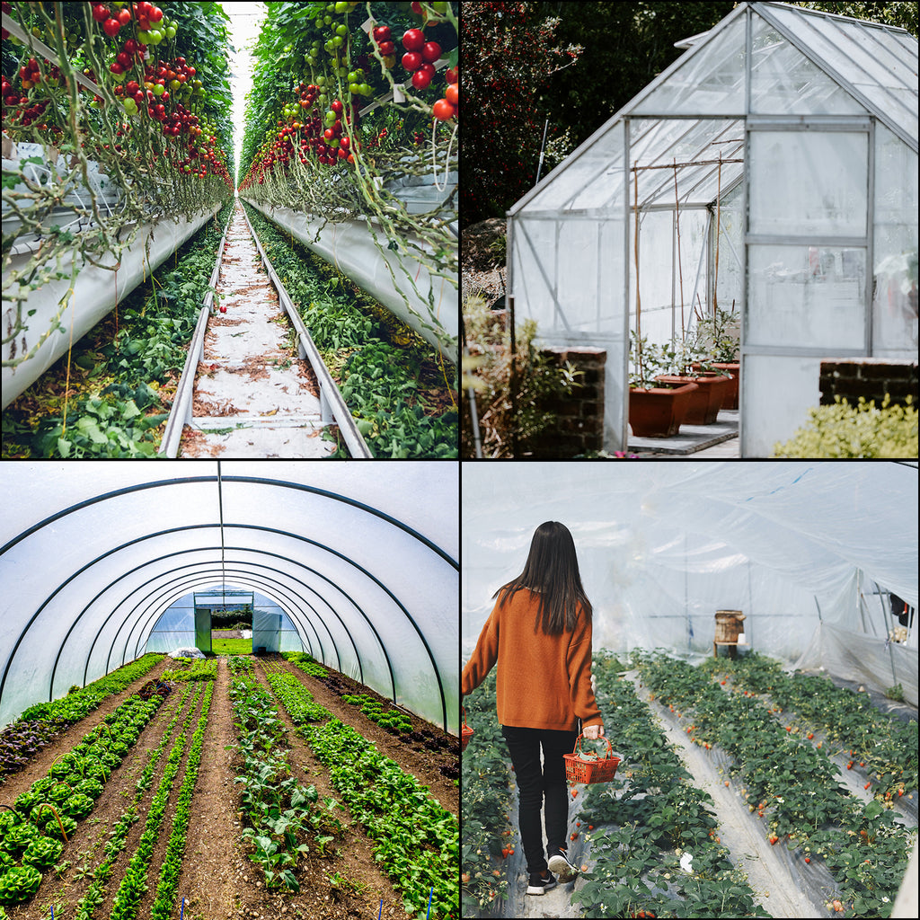 SucceBuy Agricultural Greenhouse Film Clear Plastic Farm Crops Vegetable Cover UV Resistant Polyethylene Covering Plants Flowers