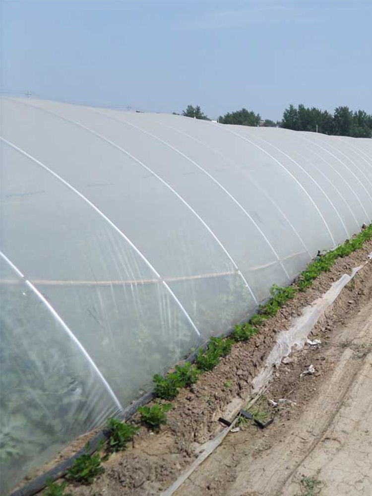 SucceBuy Agricultural Greenhouse Film Clear Plastic Farm Crops Vegetable Cover UV Resistant Polyethylene Covering Plants Flowers
